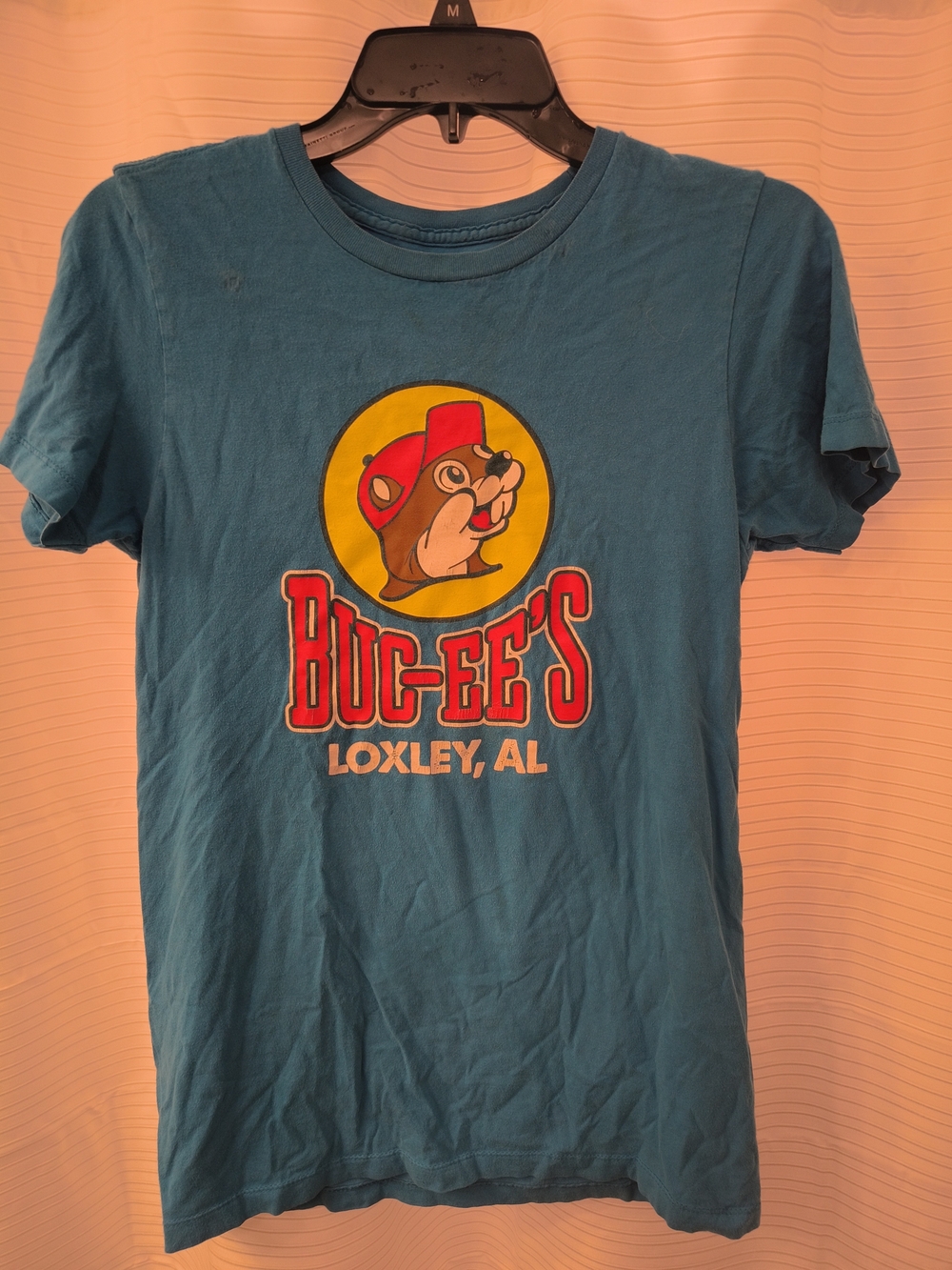 Buc-ee's Teal Dog T-Shirt - Casual Pet Tee